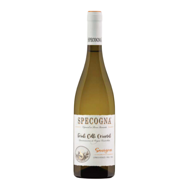 Sauvignon (2024)
