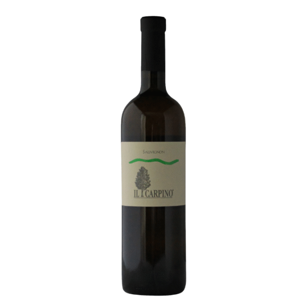 Sauvignon (2012)