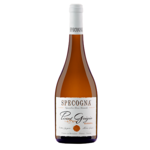 Pinot Grigio Ramato Riserva (2021)